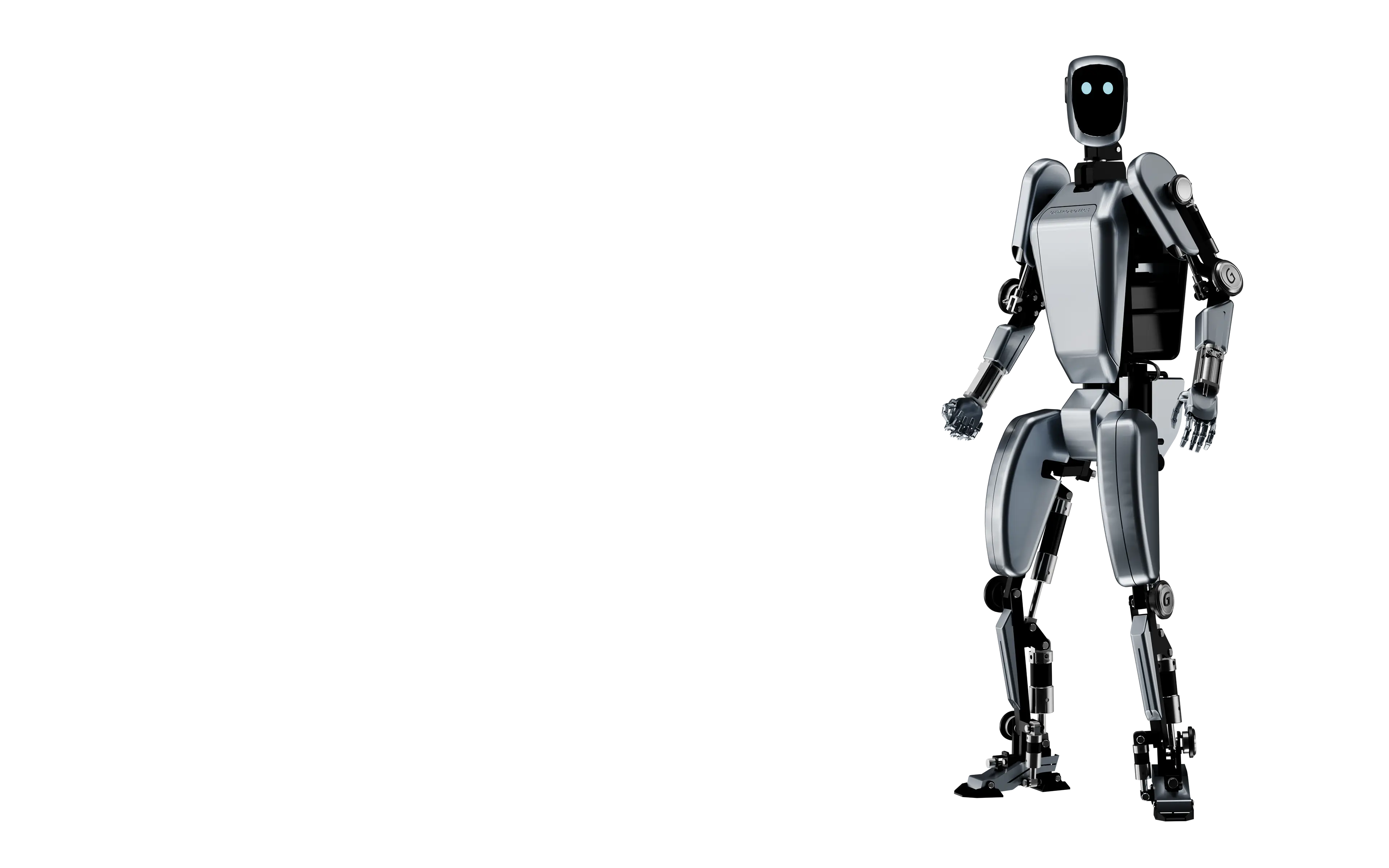 G-Bot Challenge and Vision