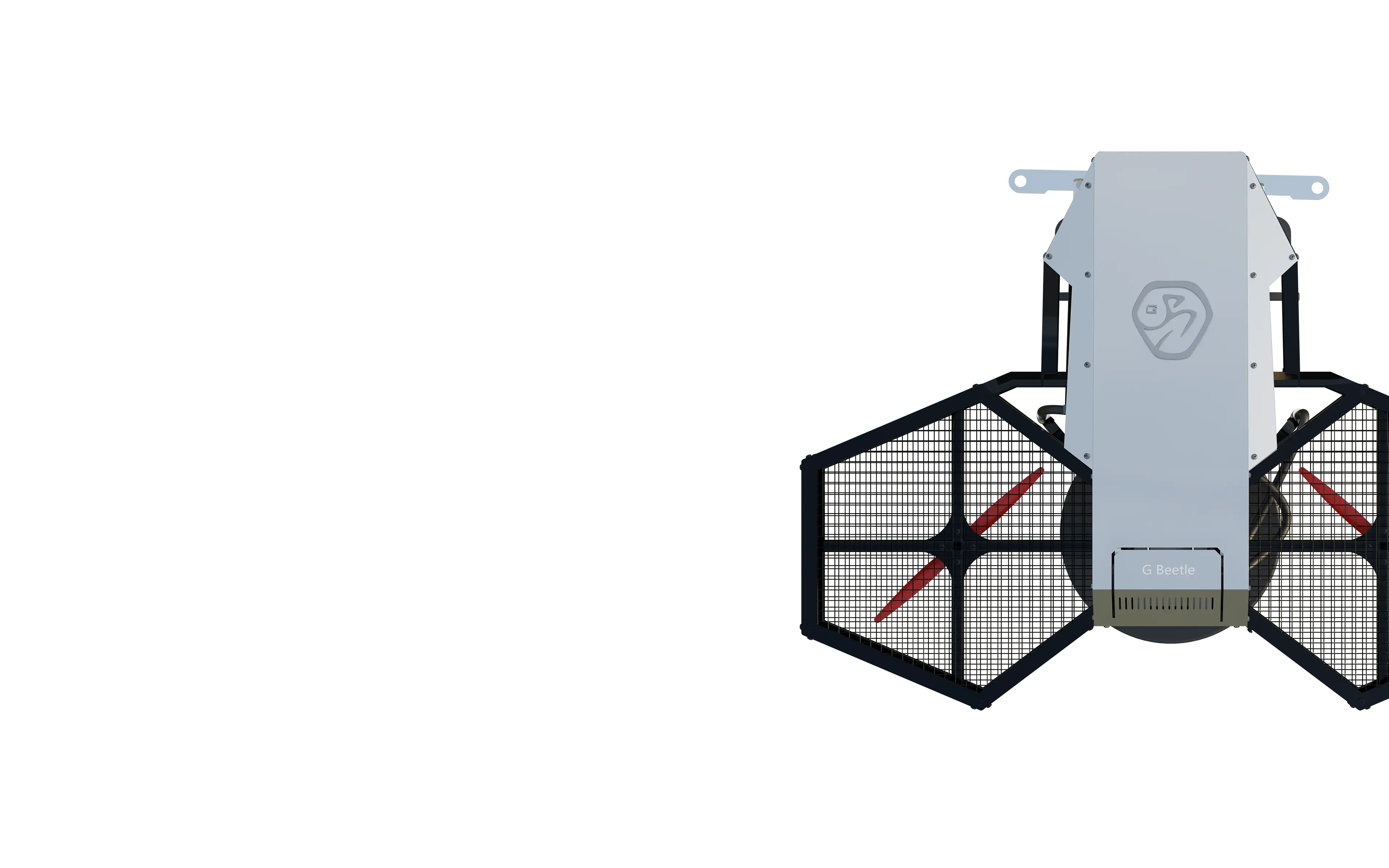 G-Beetle Challenge and Vision